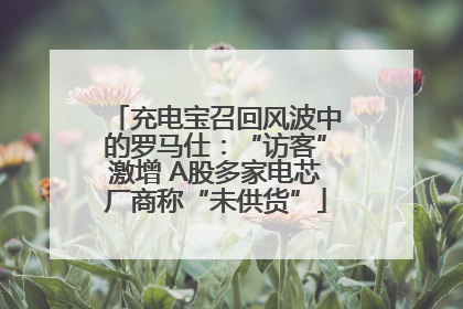 充电宝召回风波中的罗马仕：“访客”激增 A股多家电芯厂商称“未供货”