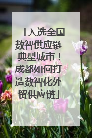 入选全国数智供应链典型城市！成都如何打造数智化外贸供应链