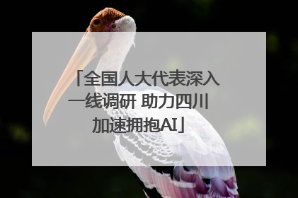 全国人大代表深入一线调研 助力四川加速拥抱AI