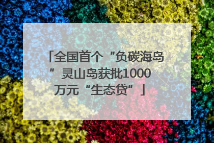 全国首个“负碳海岛”灵山岛获批1000万元“生态贷”