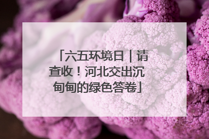 六五环境日｜请查收！河北交出沉甸甸的绿色答卷
