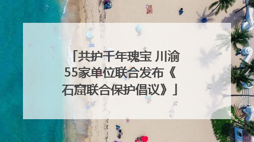 共护千年瑰宝 川渝55家单位联合发布《石窟联合保护倡议》
