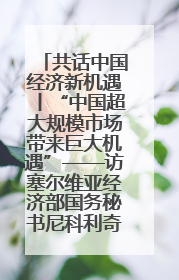 共话中国经济新机遇丨“中国超大规模市场带来巨大机遇”——访塞尔维亚经济部国务秘书尼科利奇