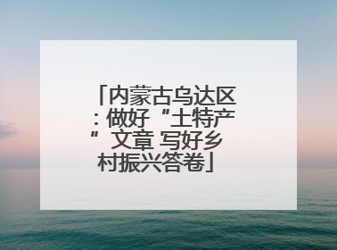 内蒙古乌达区：做好“土特产”文章 写好乡村振兴答卷