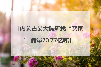 内蒙古最大碱矿找“买家” 储量20.77亿吨
