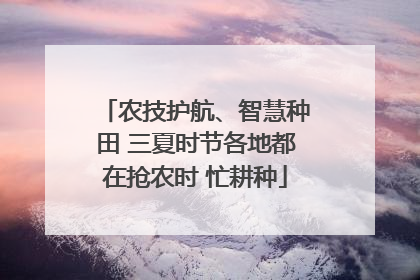 农技护航、智慧种田 三夏时节各地都在抢农时 忙耕种