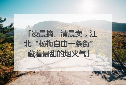 凌晨摘、清晨卖，江北“杨梅自由一条街”藏着最甜的烟火气