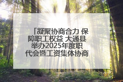 凝聚协商合力 保障职工权益 大通县举办2025年度职代会暨工资集体协商现场观摩交流活动