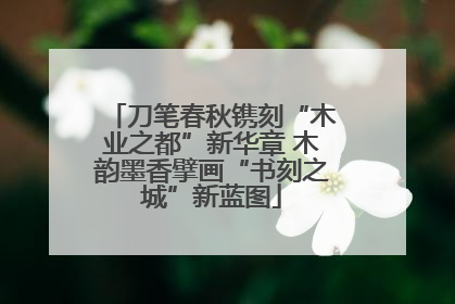 刀笔春秋镌刻“木业之都”新华章 木韵墨香擘画“书刻之城”新蓝图