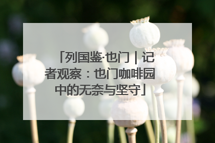 列国鉴·也门｜记者观察：也门咖啡园中的无奈与坚守