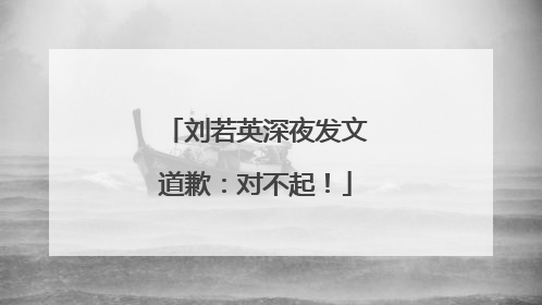 刘若英深夜发文道歉：对不起！