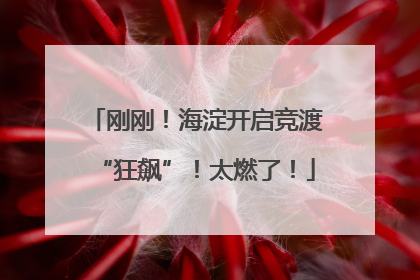 刚刚！海淀开启竞渡“狂飙”！太燃了！