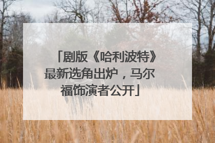 剧版《哈利波特》最新选角出炉，马尔福饰演者公开