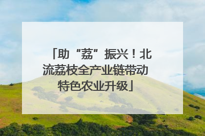 助“荔”振兴！北流荔枝全产业链带动特色农业升级