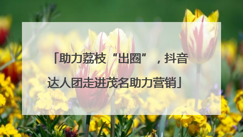 助力荔枝“出圈”，抖音达人团走进茂名助力营销