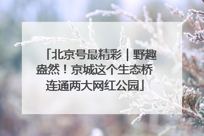北京号最精彩｜野趣盎然！京城这个生态桥连通两大网红公园