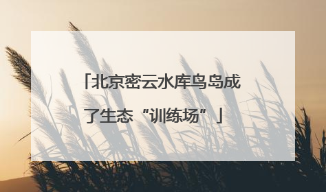 北京密云水库鸟岛成了生态“训练场”
