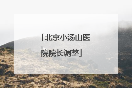 北京小汤山医院院长调整