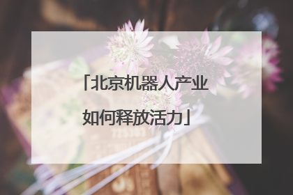 北京机器人产业如何释放活力