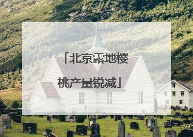 北京露地樱桃产量锐减