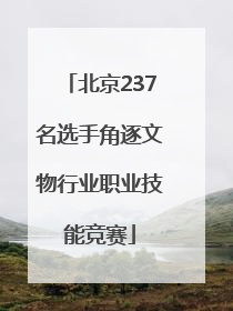 北京237名选手角逐文物行业职业技能竞赛