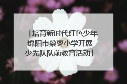 培育新时代红色少年 绵阳市桑枣小学开展少先队队前教育活动