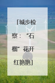 城步检察：“石榴”花开红艳艳