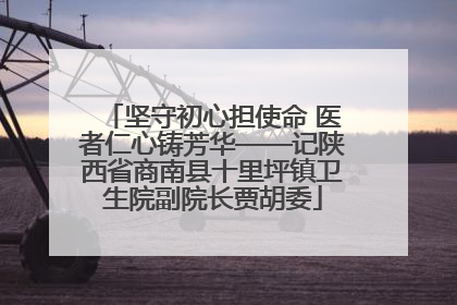 坚守初心担使命 医者仁心铸芳华——记陕西省商南县十里坪镇卫生院副院长贾胡委
