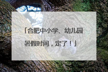 合肥中小学、幼儿园暑假时间，定了！
