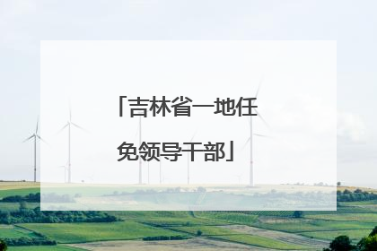 吉林省一地任免领导干部