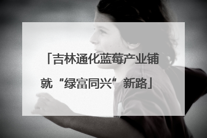吉林通化蓝莓产业铺就“绿富同兴”新路