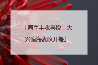 同享丰收喜悦，大兴瀛海麦收开镰