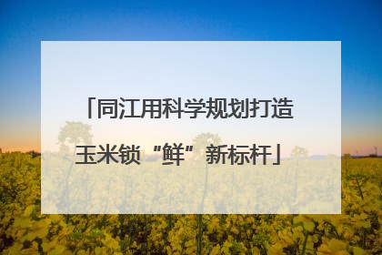 同江用科学规划打造玉米锁“鲜”新标杆