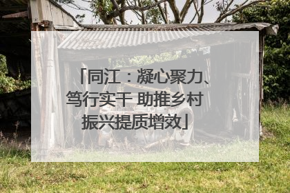 同江：凝心聚力、笃行实干 助推乡村振兴提质增效