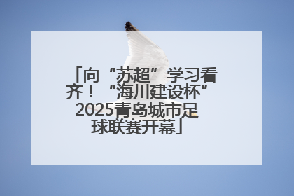 向“苏超”学习看齐！“海川建设杯”2025青岛城市足球联赛开幕