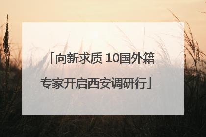向新求质 10国外籍专家开启西安调研行