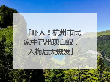 吓人！杭州市民家中已出现白蚁，入梅后大爆发