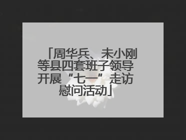 周华兵、未小刚等县四套班子领导开展“七一”走访慰问活动