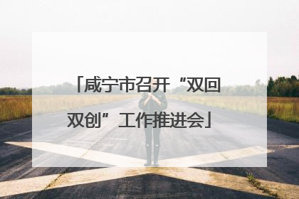 咸宁市召开“双回双创”工作推进会