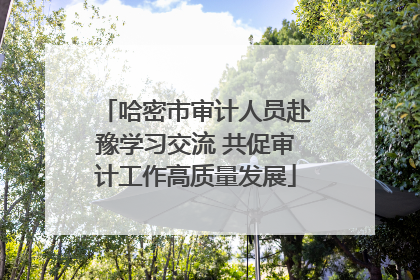哈密市审计人员赴豫学习交流 共促审计工作高质量发展