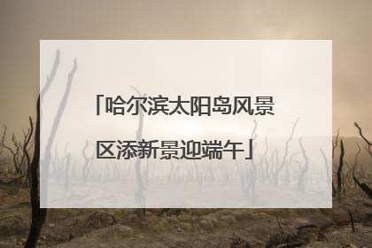 哈尔滨太阳岛风景区添新景迎端午