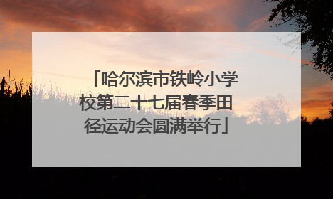 哈尔滨市铁岭小学校第二十七届春季田径运动会圆满举行