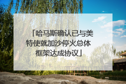 哈马斯确认已与美特使就加沙停火总体框架达成协议