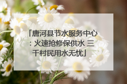 唐河县节水服务中心：火速抢修保供水 三千村民用水无忧