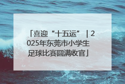 喜迎“十五运”｜2025年东莞市小学生足球比赛圆满收官