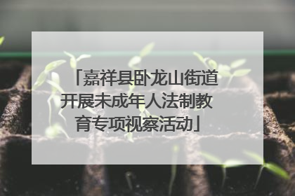 嘉祥县卧龙山街道开展未成年人法制教育专项视察活动