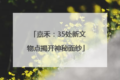 嘉禾：35处新文物点揭开神秘面纱