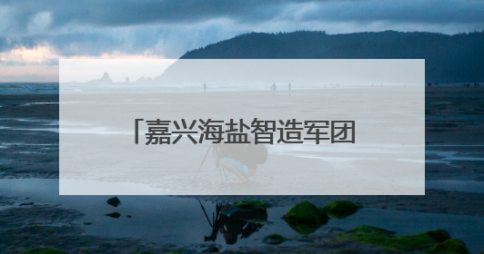 嘉兴海盐智造军团，全省“出圈”