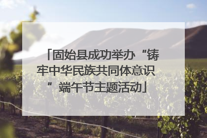 固始县成功举办“铸牢中华民族共同体意识”端午节主题活动