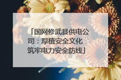 国网修武县供电公司：厚植安全文化 筑牢电力安全防线